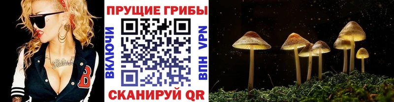 Галлюциногенные грибы GOLDEN TEACHER  Купить  Белогорск 